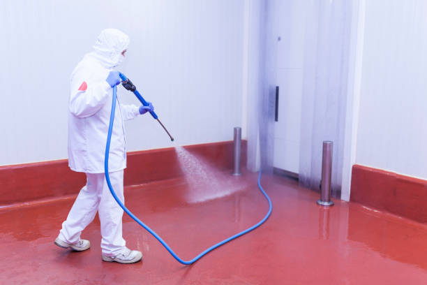 Best House Exterior Washing  in Wadley, GA